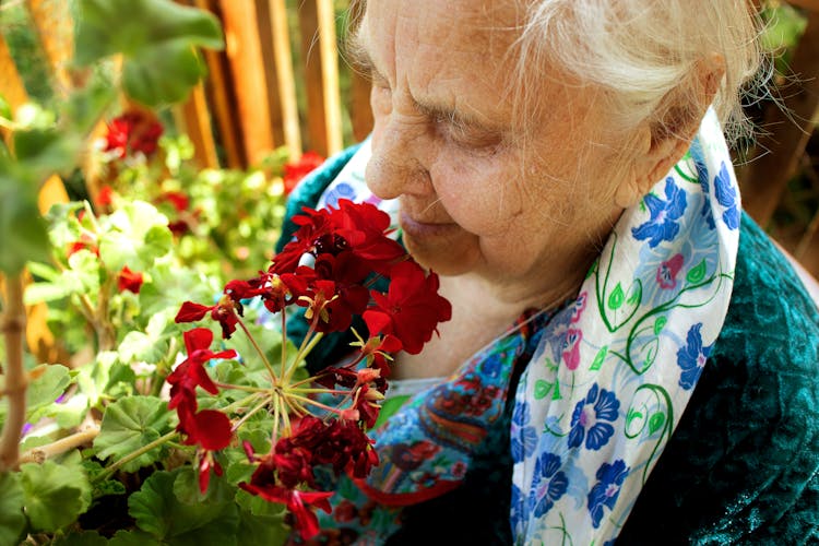 High-Angle Shot Of An Elderly Woman Smelling Red Flowers