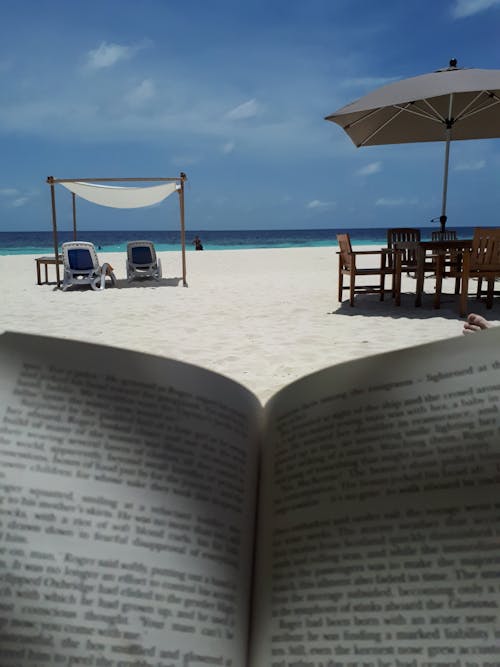 Free stock photo of beach background, book reading, chilled