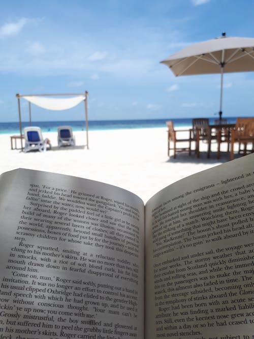 Free stock photo of beach background, book reading, chilled