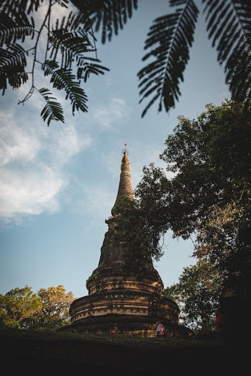 w umong suan phutthatham, 佛教徒, 垂直拍攝 的 免費圖庫相片