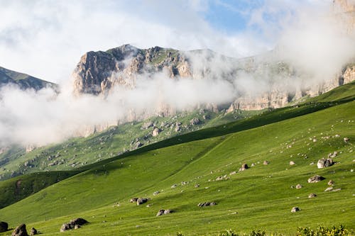 Photos gratuites de brouillard, champ d'herbe, environnement