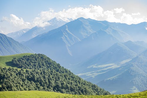 Green Trees on the Mountain