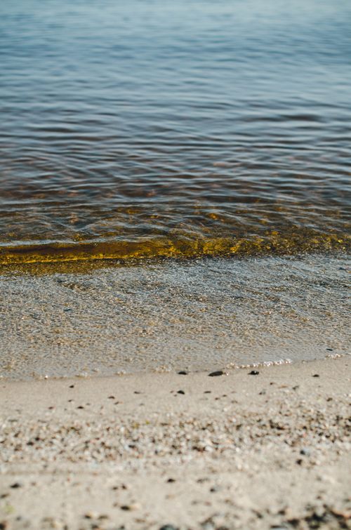 Free Calm beach scene featuring gentle waves and sandy shoreline captured in natural light. Stock Photo