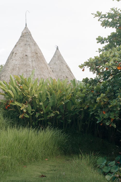 Imagine de stoc gratuită din colibe, fotografiere verticală, grădina casei