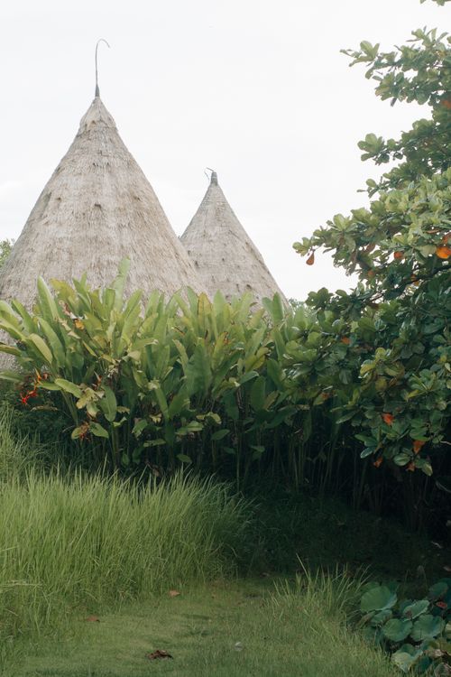 Free Explore traditional thatched huts set in lush tropical greenery, captured in Bali, Indonesia. Stock Photo