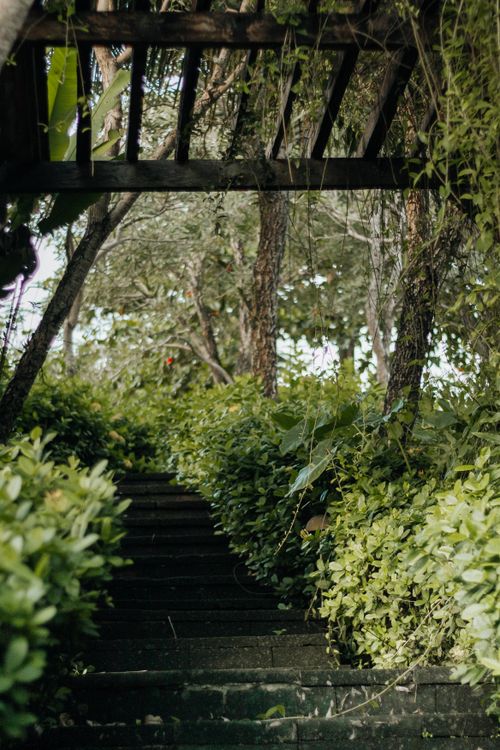 Free A lush garden pathway with wooden trellis, surrounded by green foliage and trees. Stock Photo