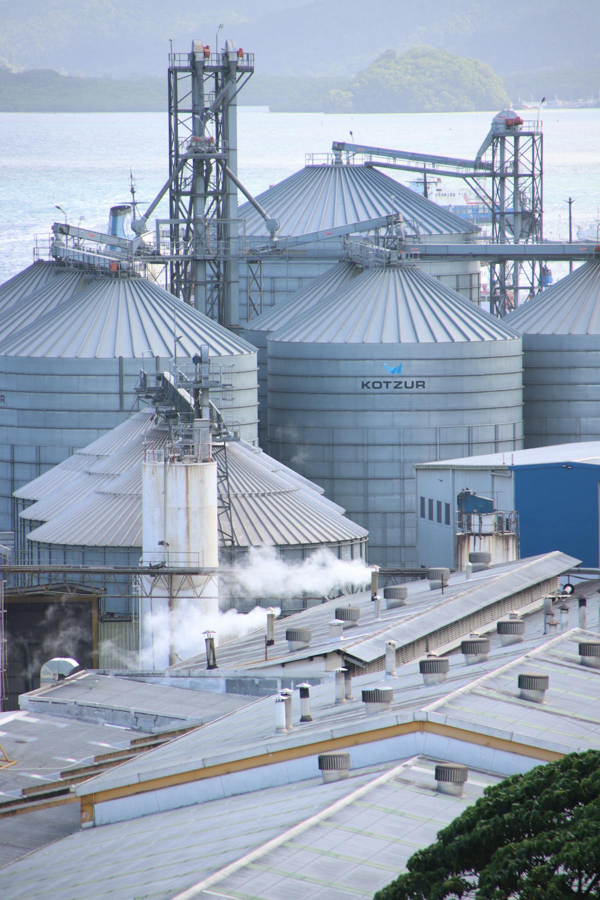 How Did QPM Achieve Cost Reduction in the TECH Project?