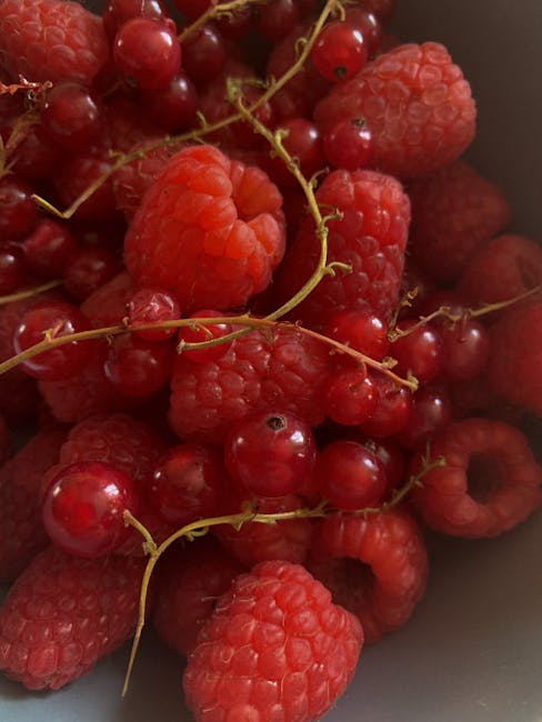 Red Round Fruit · Free Stock Photo