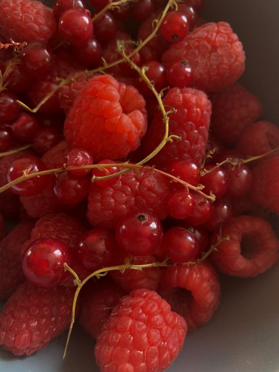Cranberries and Raspberries In Close Up Photography · Free Stock Photo