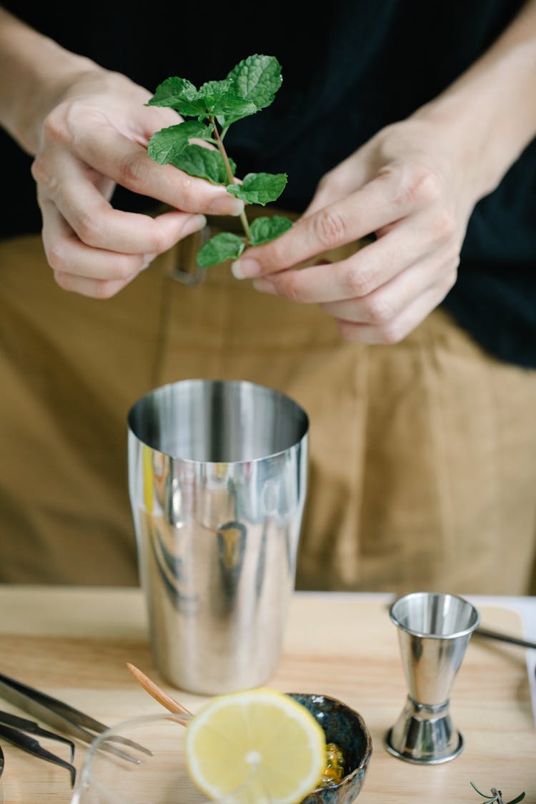 Metal Cups And Woman Holding Mint Plant