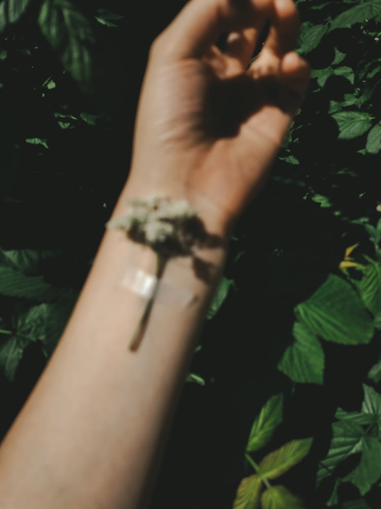 Person With Taped Flower On Wrist