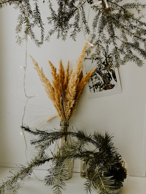 Dried Wheat Grass and Pine Leaves On Glass Vase 