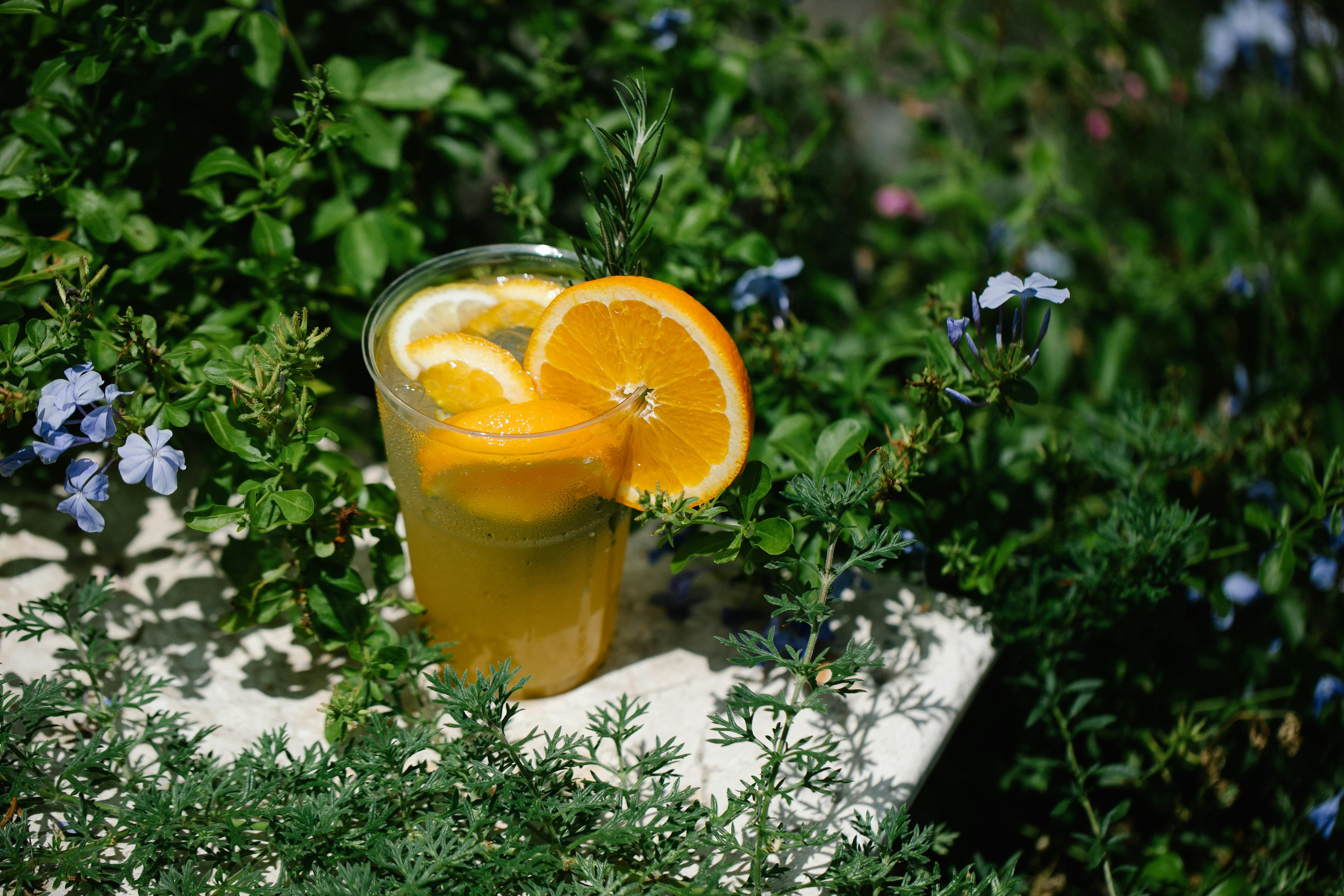 Morfología, Propagación y Sanidad de Flores Cítricas y Jazmín Paraguayo