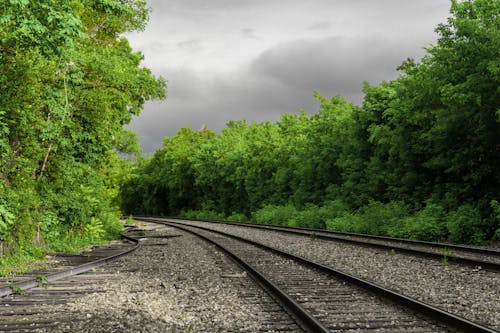 Railroad Tracks Near Green Trees Under Gray Clouds