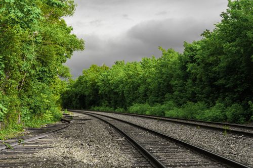 Free Peaceful railway tracks stretch through dense greenery under dramatic gray skies. Stock Photo