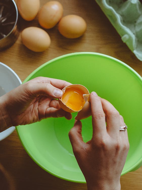 Person Holding Egg