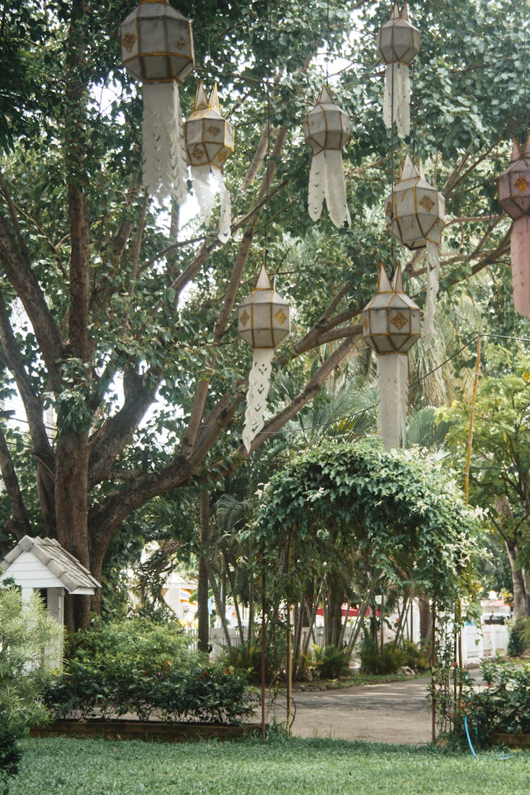 Lanterns On Tree In Garden