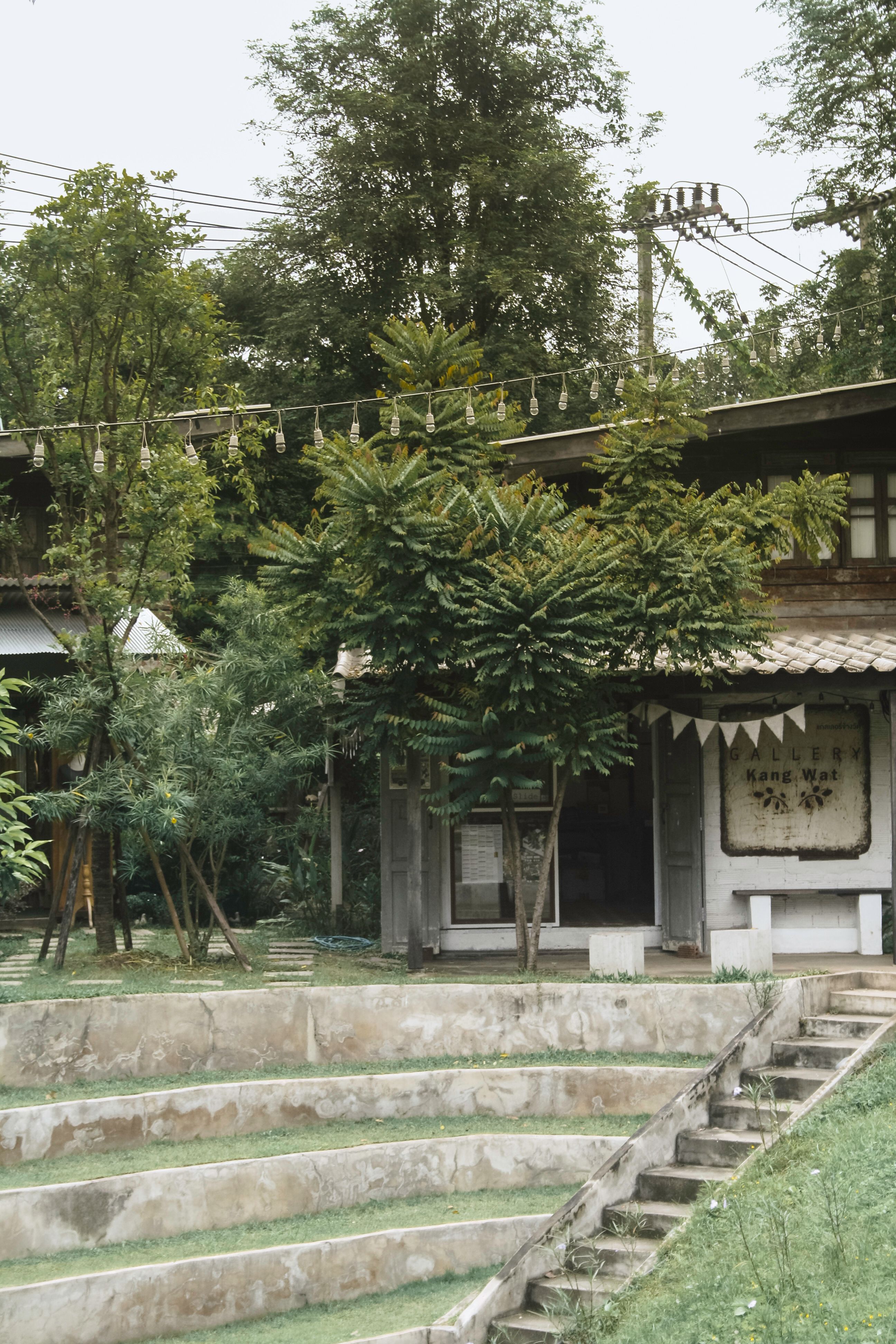 A rustic house with lush greenery and garden steps, creating a serene outdoor setting.