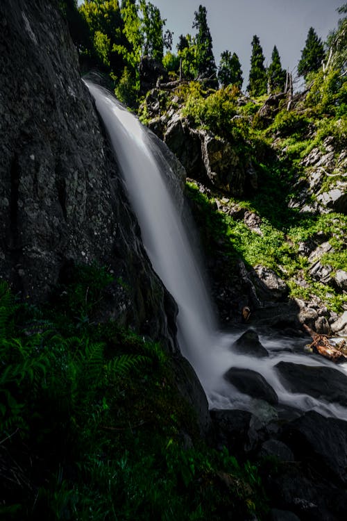 Photos gratuites de cascade, couler, en cascade