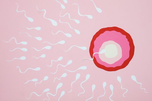 Illustration of sperm reaching an egg with a pink background, symbolizing fertilization.