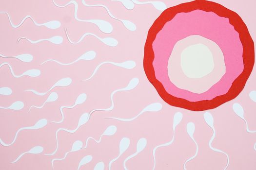 An Illustration of Fertilization