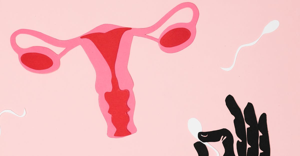 精子數45年驟減50 研究指恐與癌症 心血管病相關 單身男也別大意