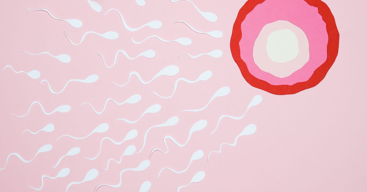 IVF Myths Busted: Dr Manjunath on Delaying Parenthood