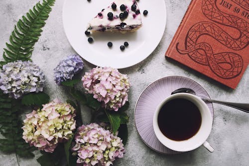 bir fincan kahve, cheesecake, Çiçekler içeren Ücretsiz stok fotoğraf
