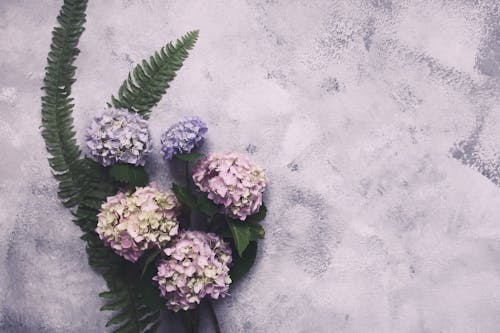 Free Flatlay of a Flowers and Leaves Stock Photo