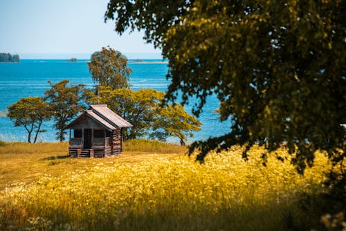 博物館, 夏天, 文化 的 免费素材图片