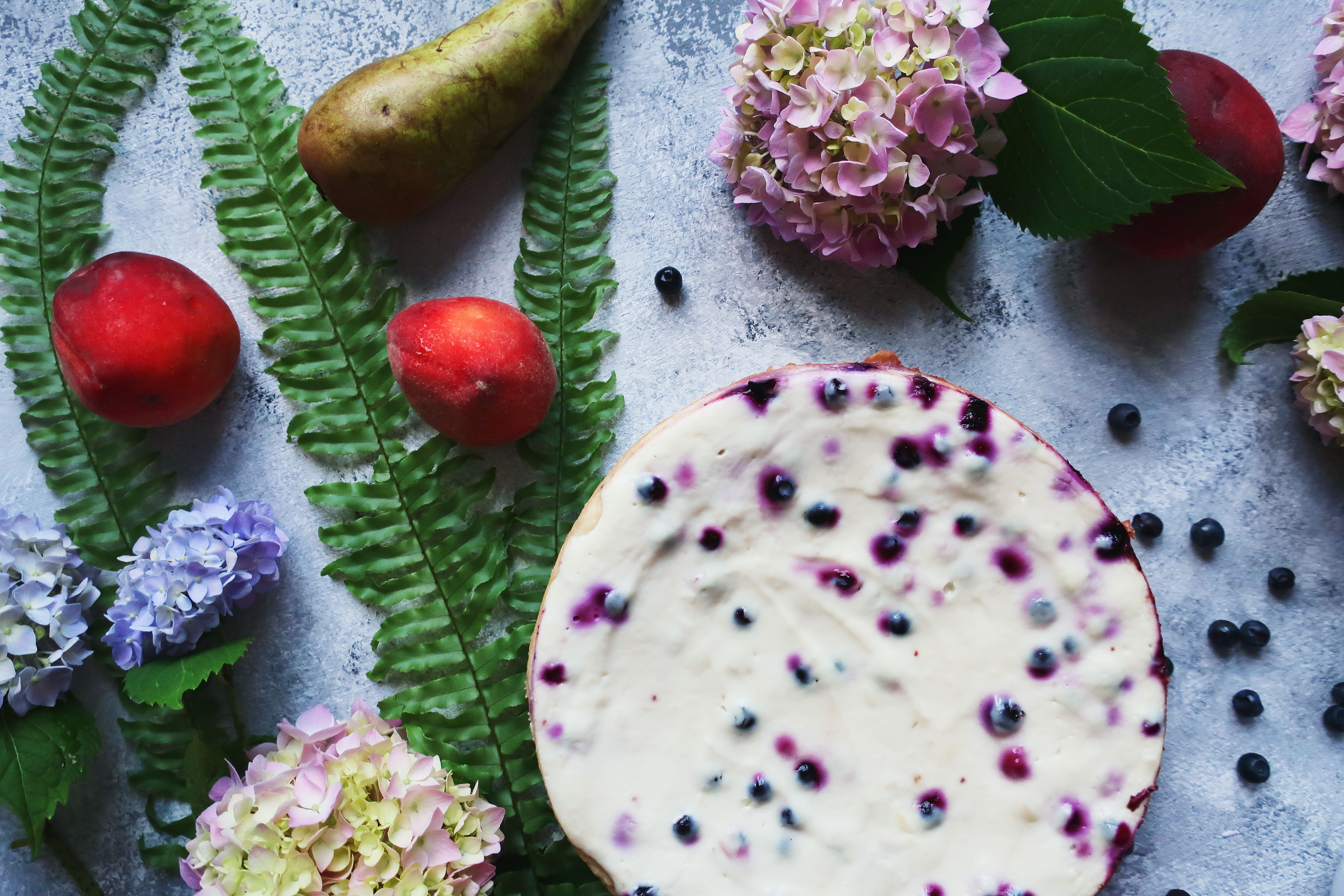 Smooth creamy vegan blueberry cheesecake freshly baked in a springform pan