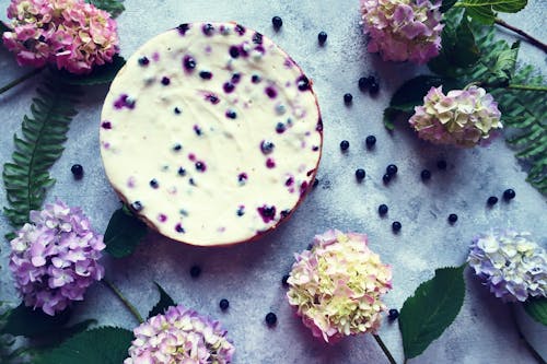 çalı meyveleri, cheesecake, Çiçekler içeren Ücretsiz stok fotoğraf