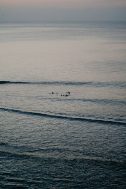 Aerial view of surfers riding gentle waves during a tranquil evening.