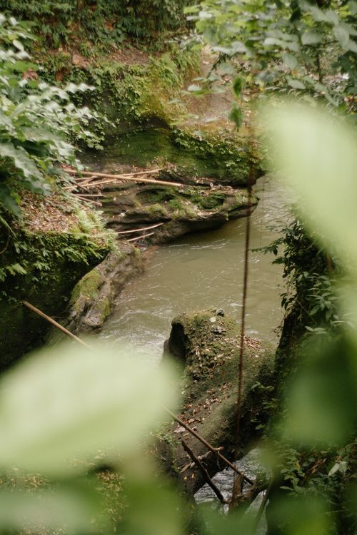 Free A tranquil creek flowing through a mossy forest landscape, rich in greenery. Stock Photo