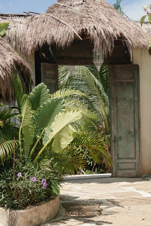 Free A rustic wooden door amidst lush tropical foliage under a thatched roof, inviting an exotic ambiance. Stock Photo