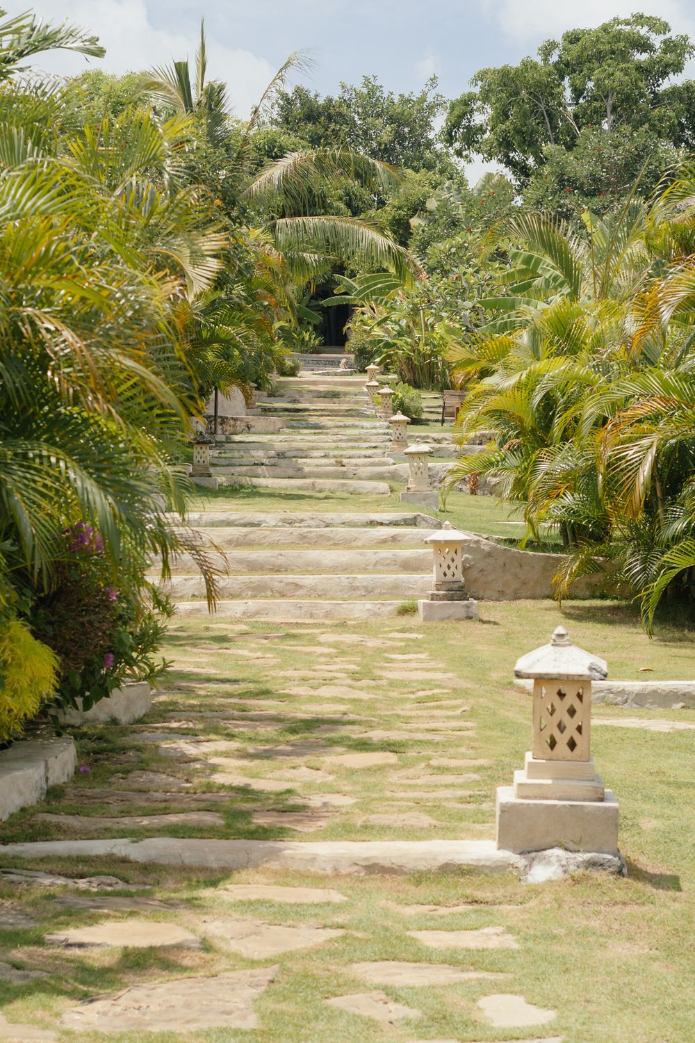 Stone garden path surrounded by established green planting