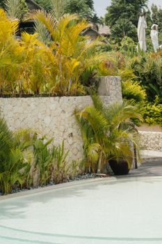 Relax in a tropical oasis featuring a serene pool surrounded by vibrant plants and palm trees.