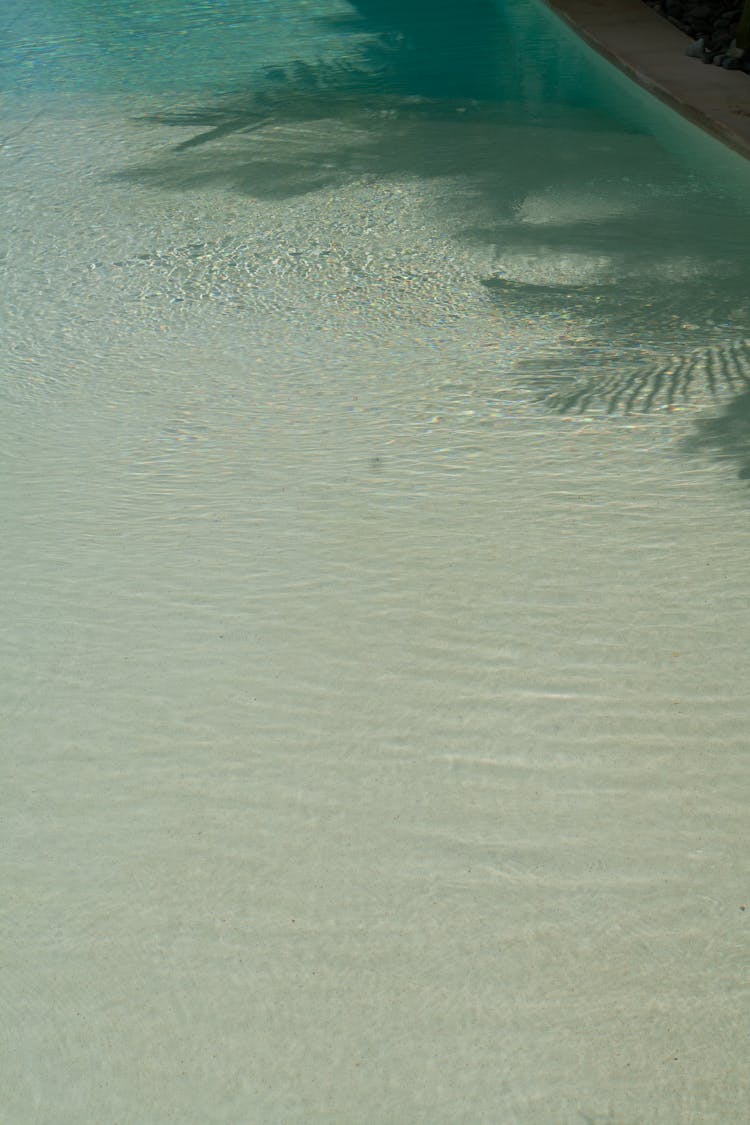 Shadows Of Palm Trees On Pool Surface