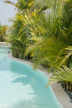 Serene poolside scene featuring tropical palm trees, perfect for summer relaxation.