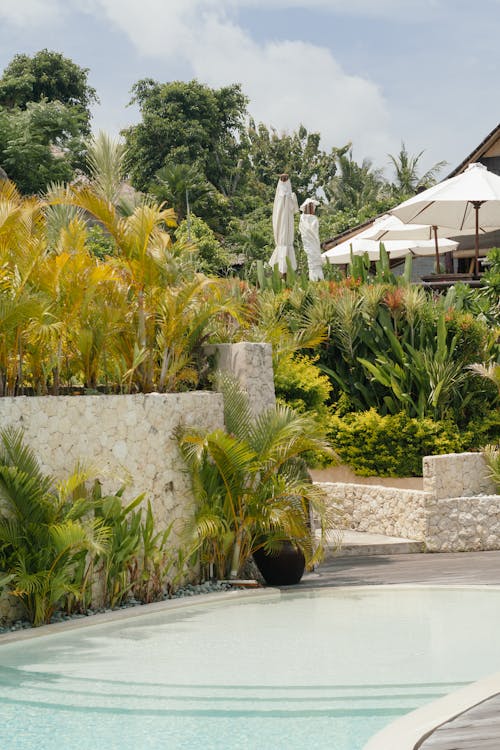 Swimming Pool in a Tropical Resort 