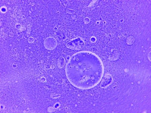 Close-up of Water Particles 
