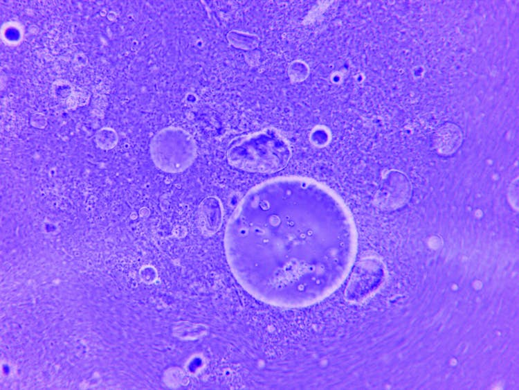 Close-up Of Water Particles 