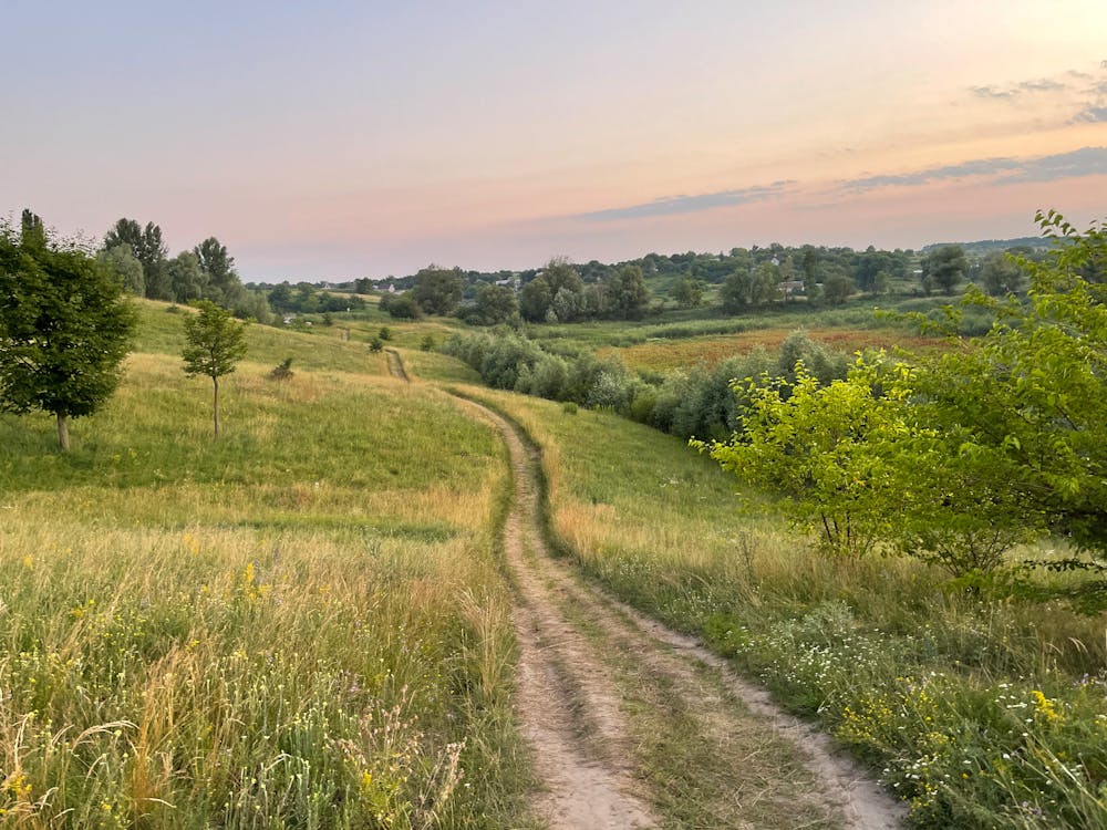 Free Unpaved Road in the Grassland Stock Photo