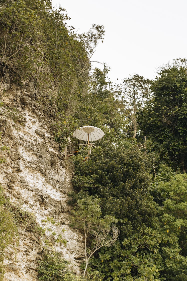 Hanging Umbrella On The Cliff Surrounded By Plants