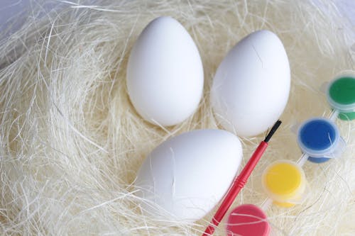 Gratis stockfoto met eieren, kwast, nest