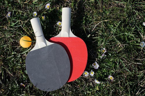 Red Ping Pong Ball and Racket Clip Art Image - ClipSafari