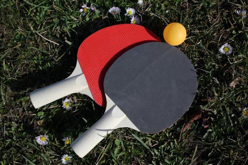 Free Photo of Table Tennis Rackets on Grass Stock Photo