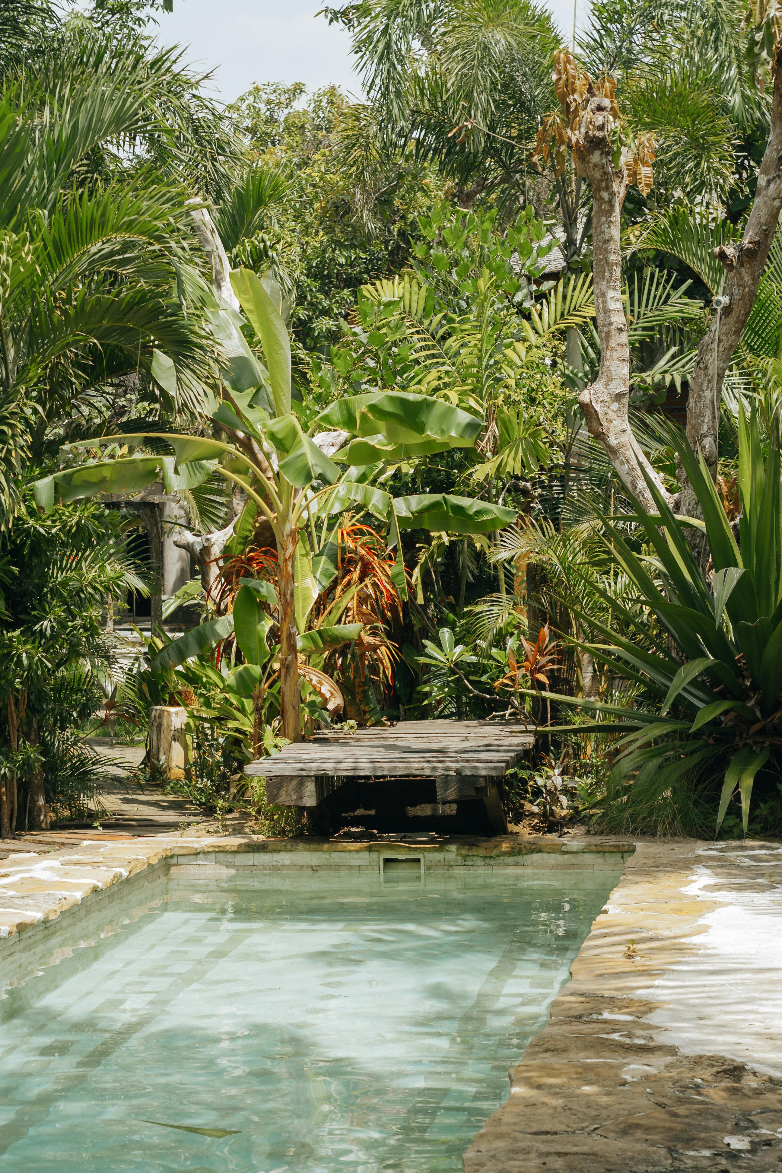 Lush tropical garden and pool creating a tranquil paradise setting.