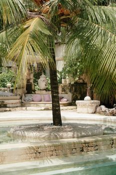 A tranquil setting featuring a palm tree surrounded by a stone fountain and lush greenery.