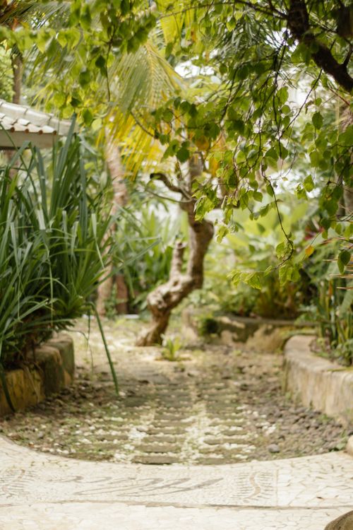 Free A tranquil garden path lined with lush greenery and trees, creating a serene environment. Stock Photo